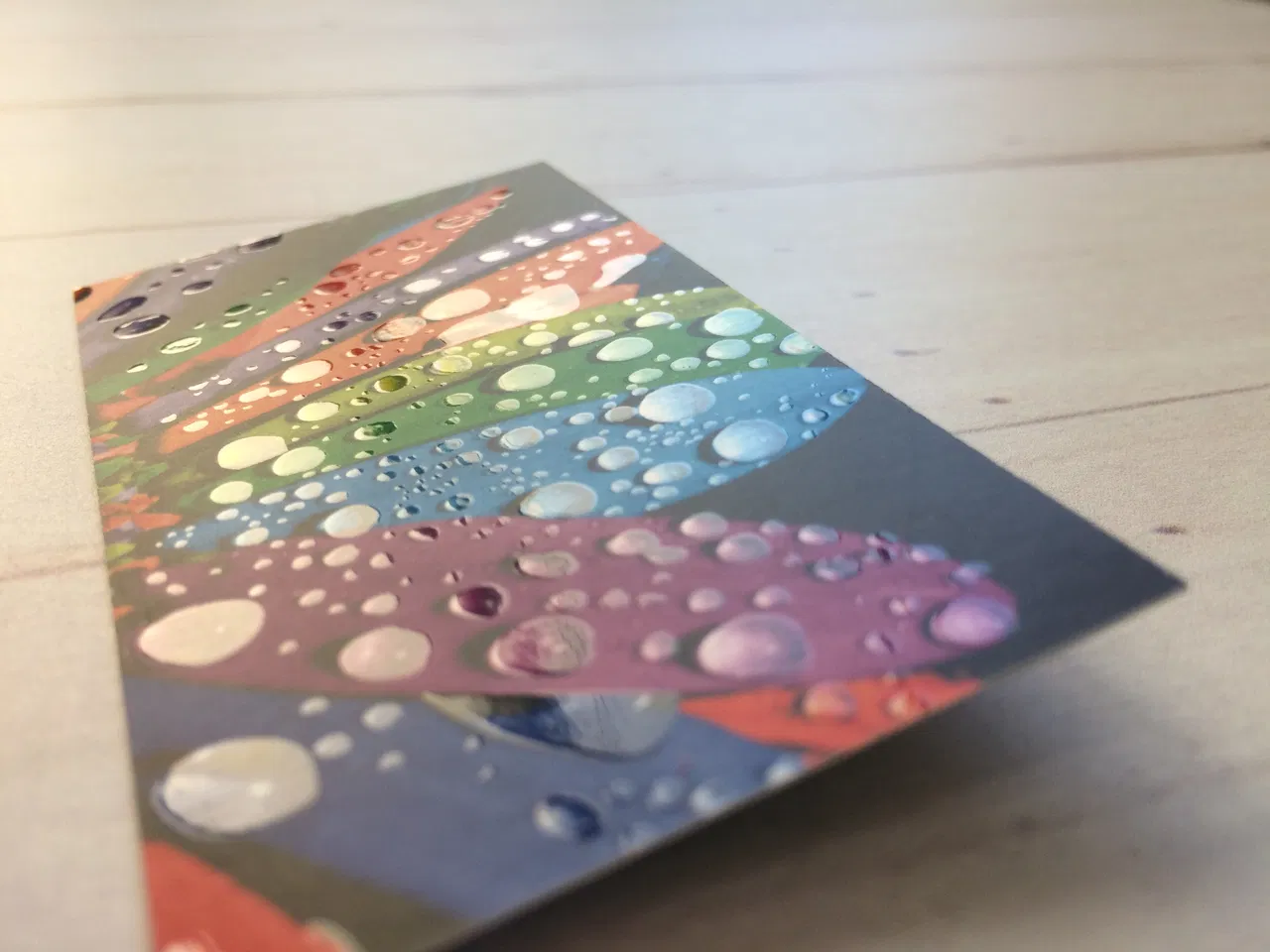 Stampa, Laminazione opaca, Vernice localizzata, Rilievo, Cartoncino, Effetti, Gocce, Cartoncino patinato a colori