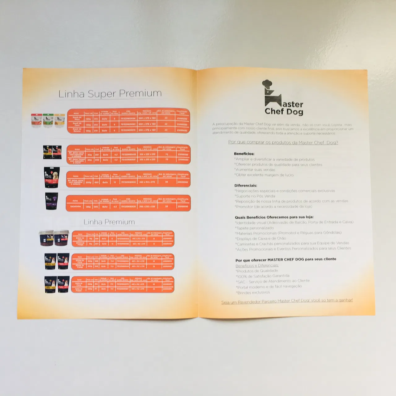 Gráfica Animais Pet Veterinario Pasta Envelope Folder Dobra Abre Fecha Apresentação Couché Contrato Vermelho