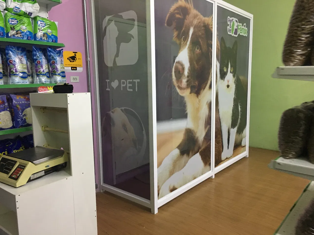 Adesivo Roxo Banho Shop Perfurado Butanta Animais Veterinária Lilás Pet Vidro Tosa