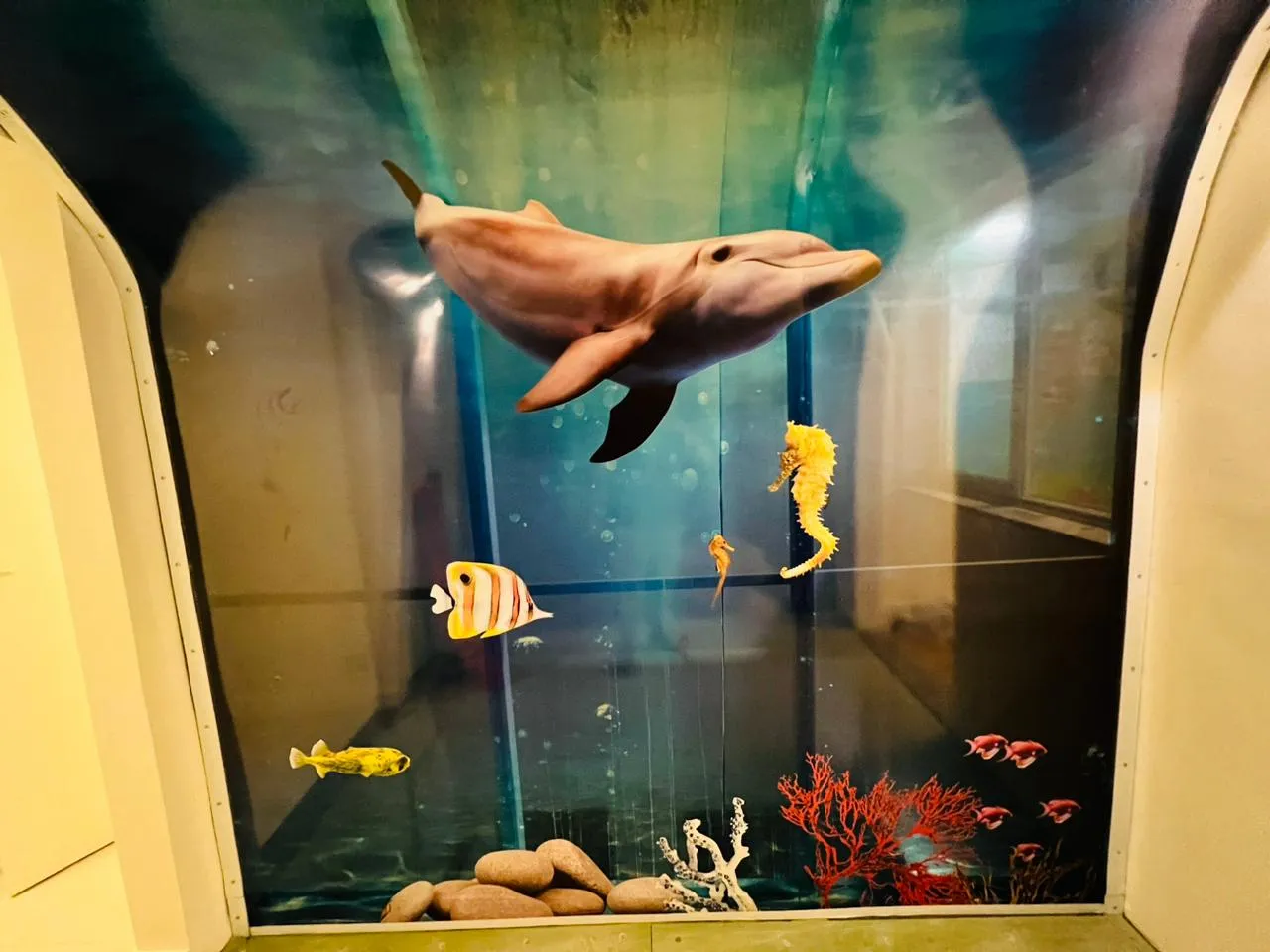 Adesivo Oceano Sensorial Mar Tea Vila Madalena SP Infantil Azul Clínica Peixes Tunel