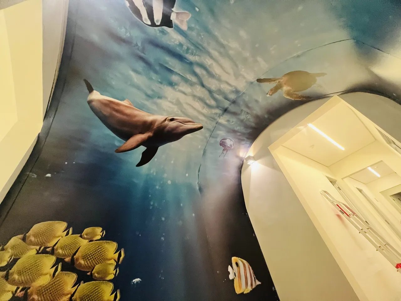 Adesivo sensoriale per bambini Clinica Mar Peixes, Vila Madalena, San Paolo, Oceano Tea, Tunnel Blu