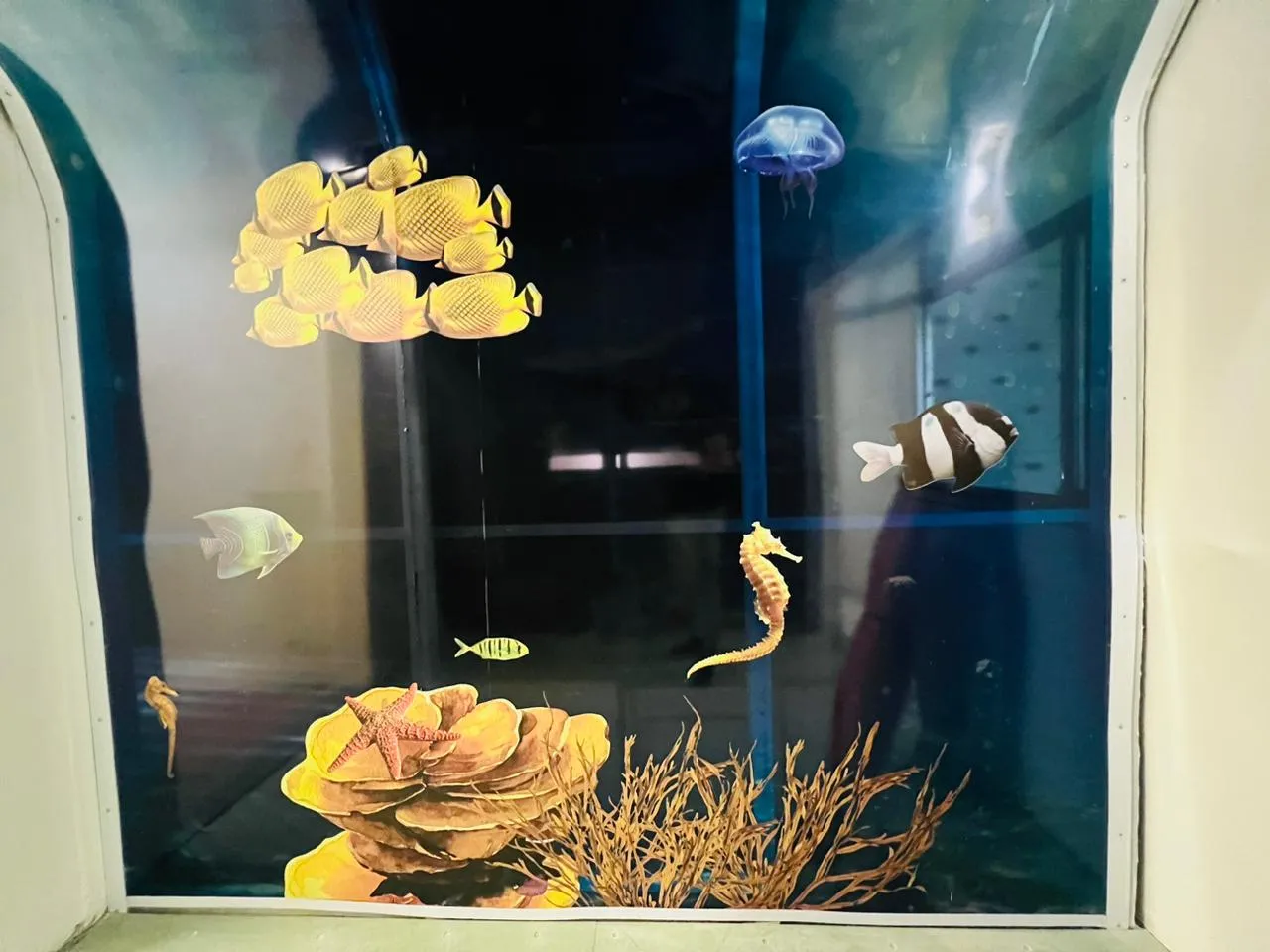 Adesivo Sensorial Peixes Infantil Mar Tea Vila Madalena SP Tunel Clínica Oceano Azul