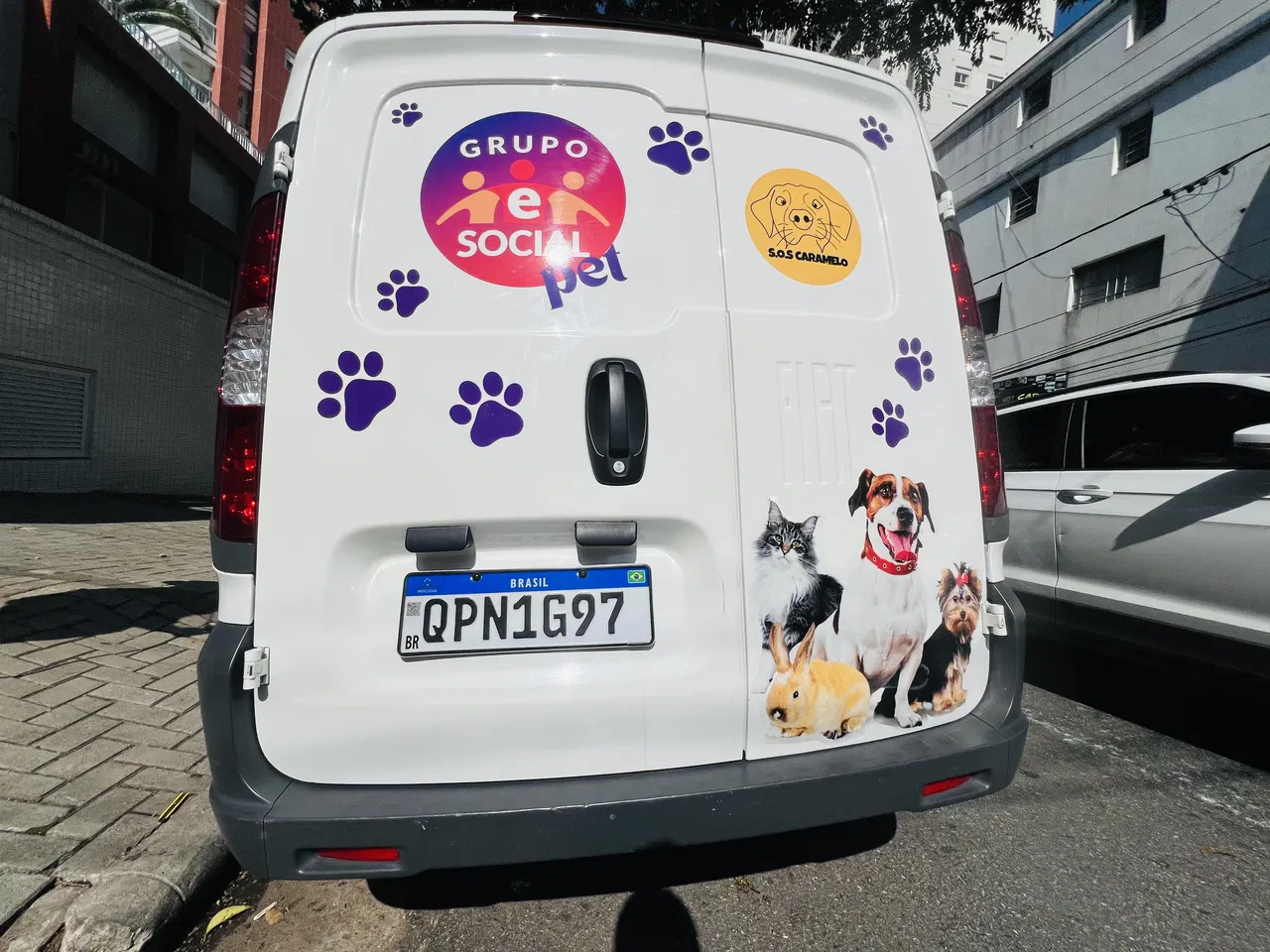 Rivestimento Animali Fiorino Veicoli utilitari Auto Clinica veterinaria Pet shop ONG Adesivo Flotte Colorato Zampette
