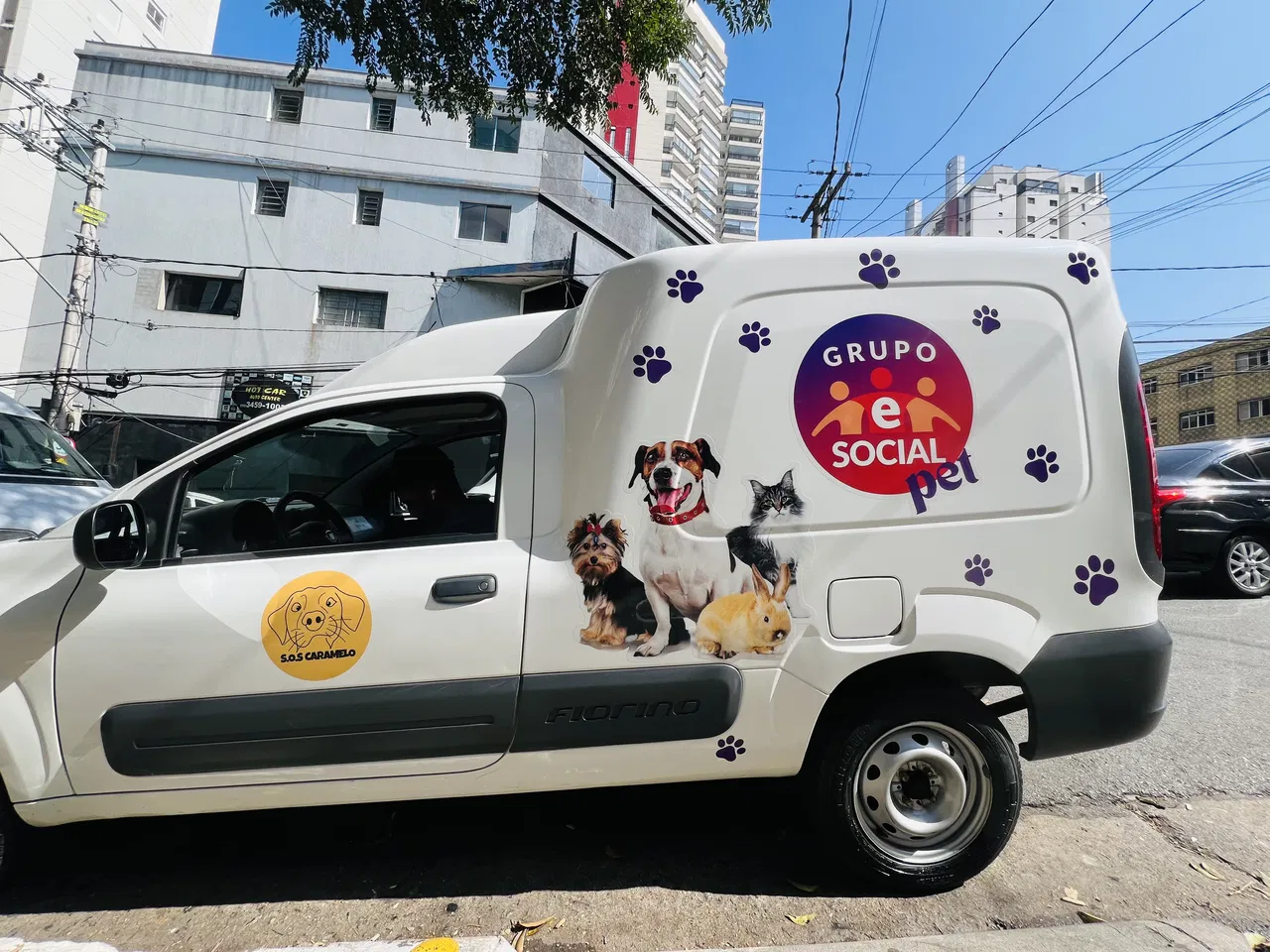 Rivestimento in PET Animali ONG Auto Negozio Clinica veterinaria Utilità Zampette Colorato Adesivo Fiorino Flotte