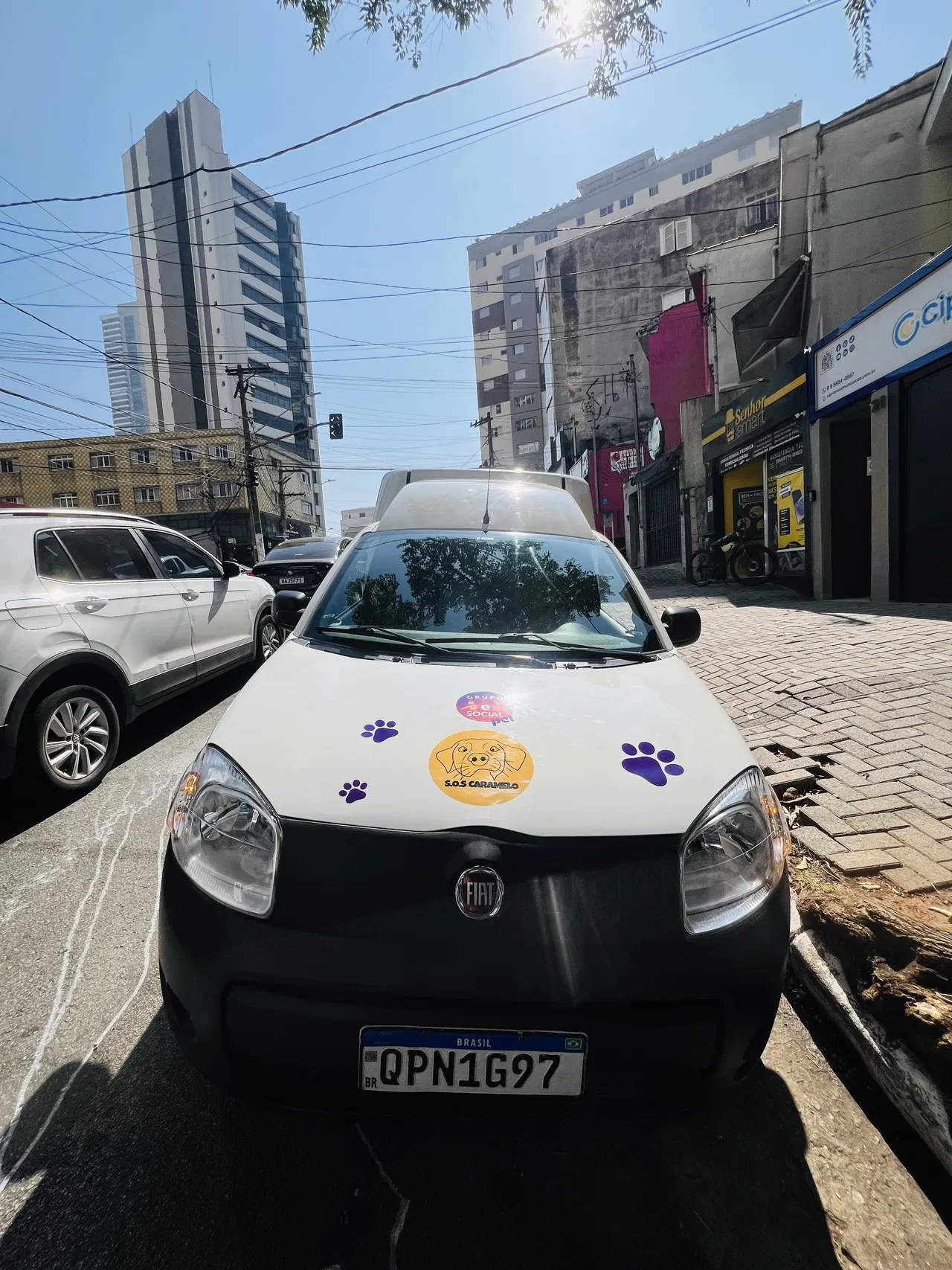 Rivestimento Zampette Veicoli utilitari Negozio Colorato Auto Clinica veterinaria Adesivo Animali domestici Flotte Fiorino Animali ONG