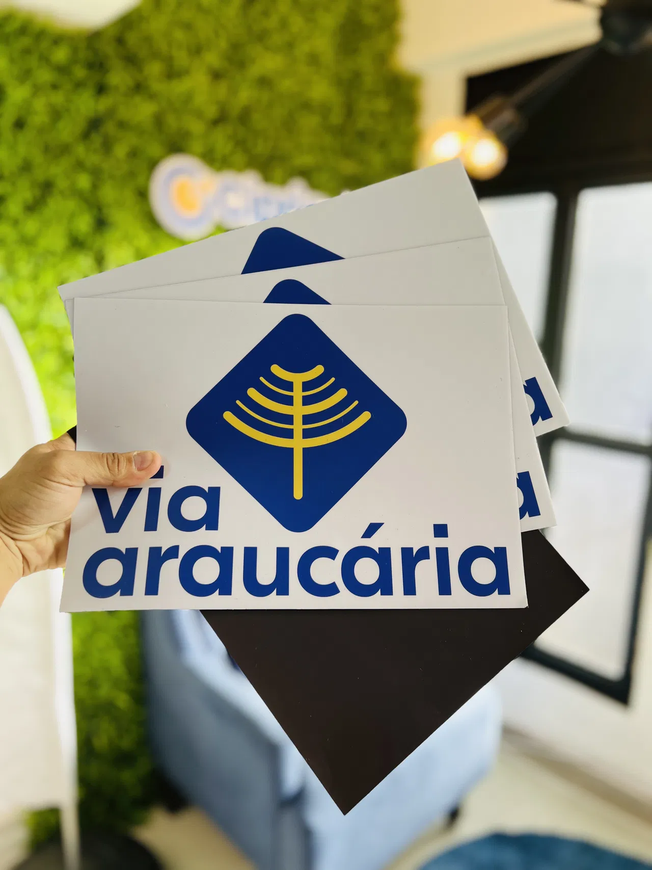 Ímã Veicular Via Araucaria Azul Provisório Identificação Adesivo Imantado Temporário
