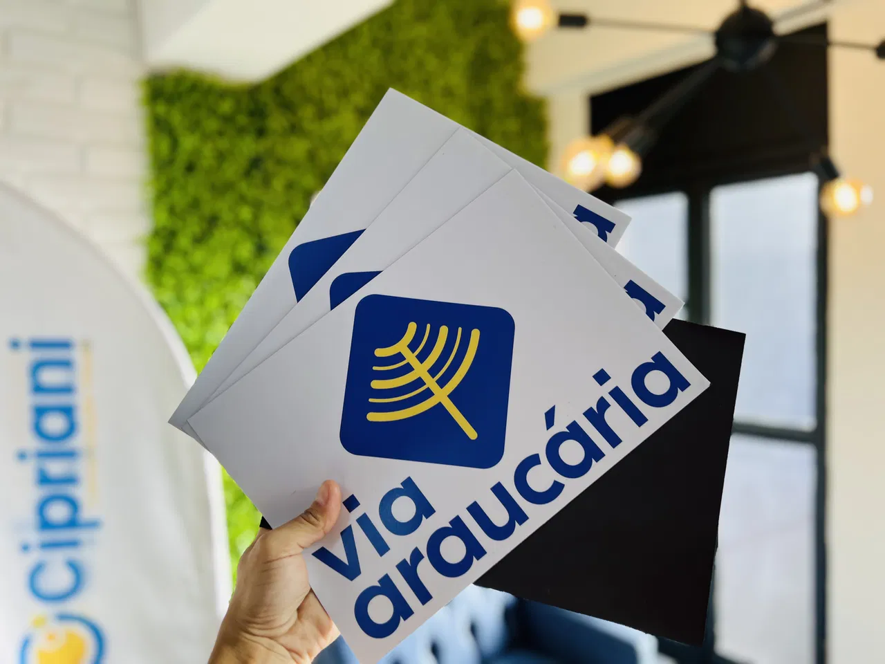 Ímã Identificação Via Veicular Provisório Imantado Araucaria Temporário Adesivo Azul