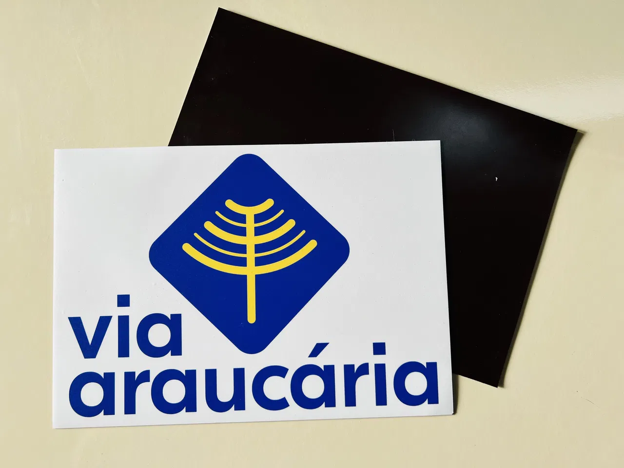Ímã Temporário Identificação Araucaria Imantado Via Adesivo Veicular Provisório Azul