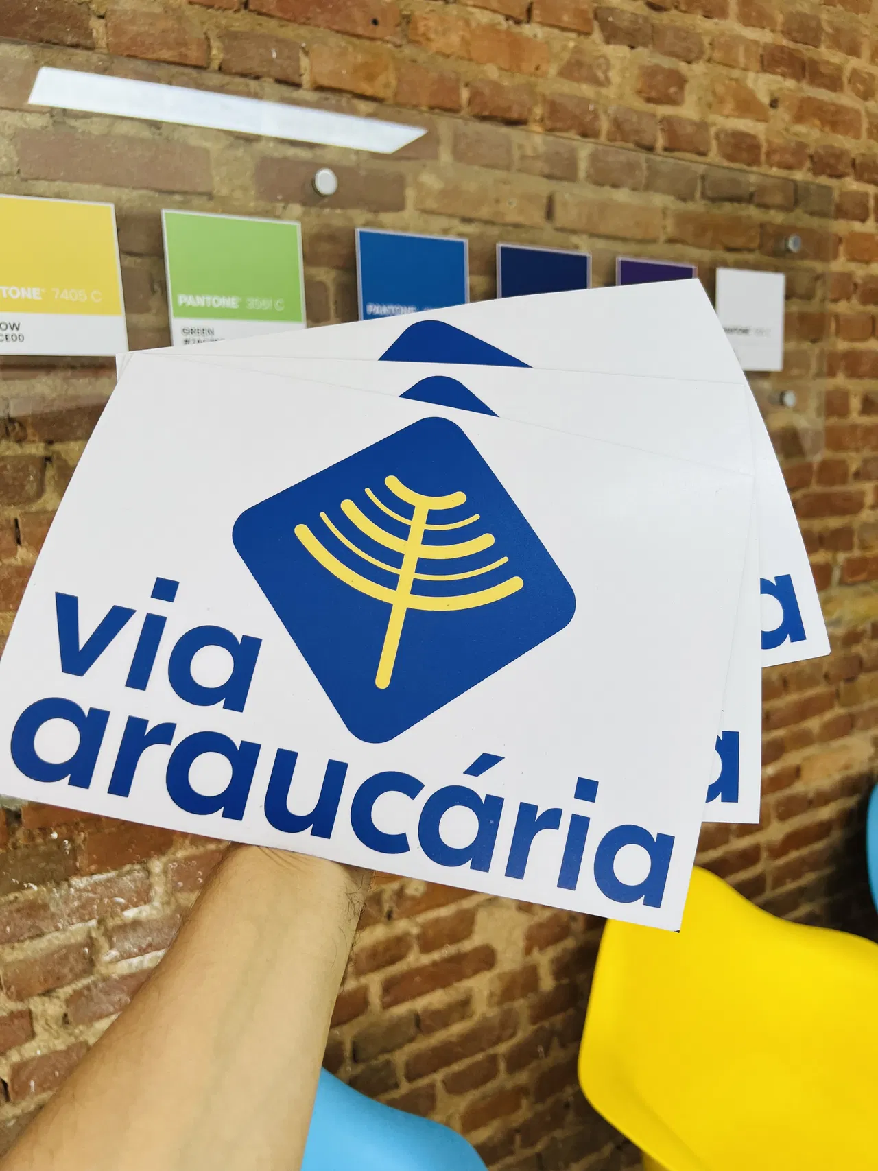 Ímã Identificação Araucaria Via Imantado Temporário Provisório Adesivo Veicular Azul