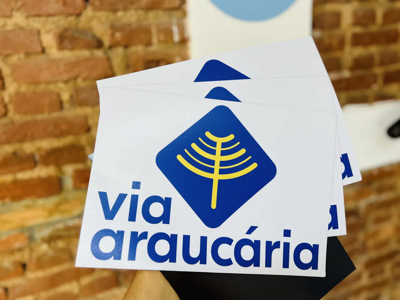 Ímã Identificação Veicular Temporário Via Imantado Adesivo Azul Araucaria Provisório