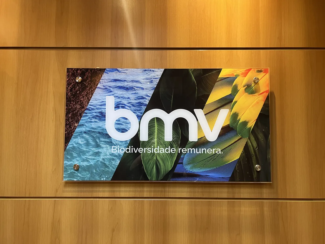 Targhetta colorata con logo BMW Vila Olímpia, 5 mm, per ufficio, stampa su acrilico
