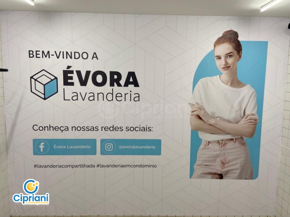 Adesivos para Ambientação de Lavanderia Azul e Branco 2 Imagem